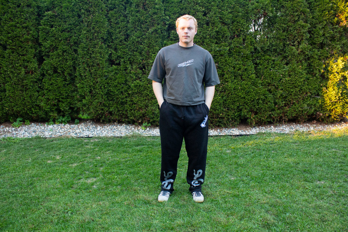 Corrupted Hazard Sweatpants V2 (PURPLE & SILVER BACK)